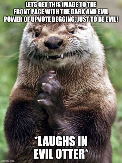 Evil Otter Meme | LETS GET THIS IMAGE TO THE FRONT PAGE WITH THE DARK AND EVIL POWER OF UPVOTE BEGGING. JUST TO BE EVIL! *LAUGHS IN EVIL OTTER* | image tagged in memes,evil otter | made w/ Imgflip meme maker