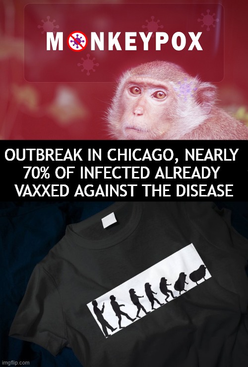 Another Vax That Doesn't Work? | OUTBREAK IN CHICAGO, NEARLY 
70% OF INFECTED ALREADY 
VAXXED AGAINST THE DISEASE | image tagged in politics,monkeypox,covid vax,sheep,outbreak,infection | made w/ Imgflip meme maker