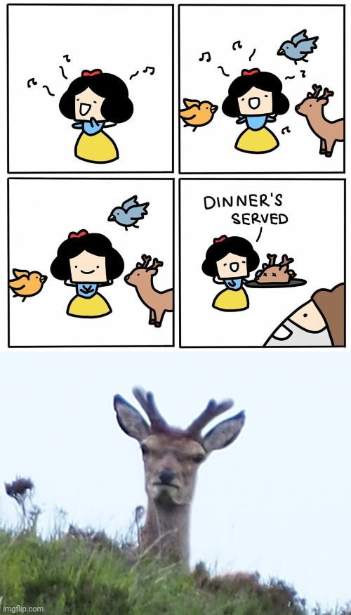 DINNER, HOL UP | image tagged in furious deer,animals,dark humor,memes,comic,snow white | made w/ Imgflip meme maker
