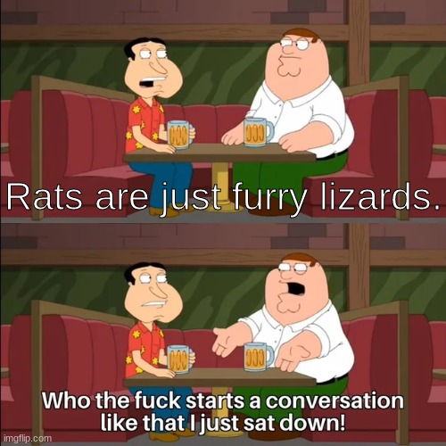 ' | Rats are just furry lizards. | made w/ Imgflip meme maker