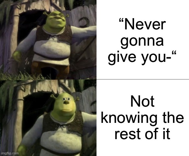 Bruh | “Never gonna give you-“; Not knowing the rest of it | image tagged in shocked shrek face swap | made w/ Imgflip meme maker