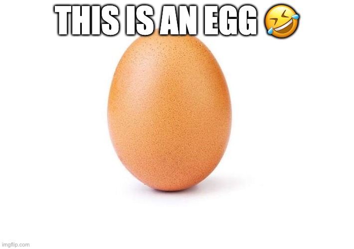 Eggbert | THIS IS AN EGG 🤣 | image tagged in eggbert | made w/ Imgflip meme maker