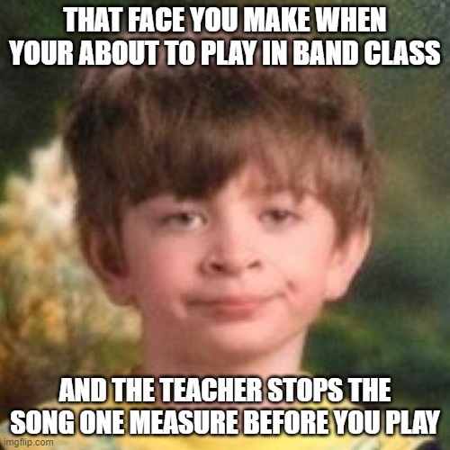 HATE THIS | THAT FACE YOU MAKE WHEN YOUR ABOUT TO PLAY IN BAND CLASS; AND THE TEACHER STOPS THE SONG ONE MEASURE BEFORE YOU PLAY | image tagged in annoyed face,band,instruments | made w/ Imgflip meme maker