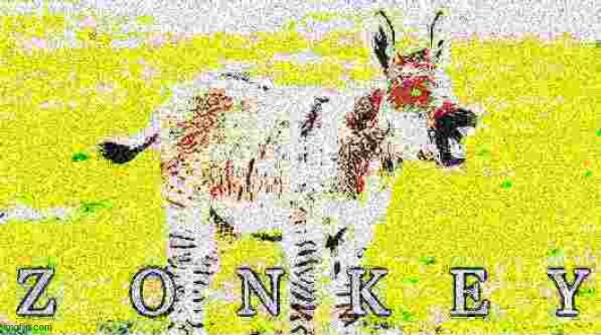zonkey | image tagged in zonkey | made w/ Imgflip meme maker