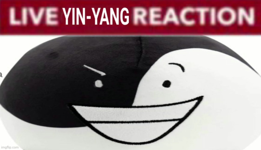 LIVE YIN-YANG REACTION | image tagged in live yin-yang reaction | made w/ Imgflip meme maker