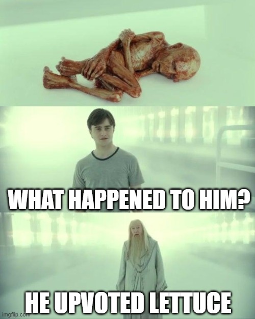 Dead Baby Voldemort / What Happened To Him | WHAT HAPPENED TO HIM? HE UPVOTED LETTUCE | image tagged in dead baby voldemort / what happened to him,upvote,lettuce,downvote | made w/ Imgflip meme maker