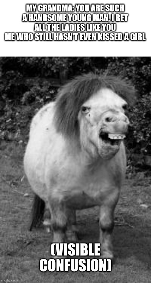 ugly horse | MY GRANDMA: YOU ARE SUCH A HANDSOME YOUNG MAN, I BET ALL THE LADIES LIKE YOU
ME WHO STILL HASN'T EVEN KISSED A GIRL; (VISIBLE CONFUSION) | image tagged in ugly horse,single life | made w/ Imgflip meme maker