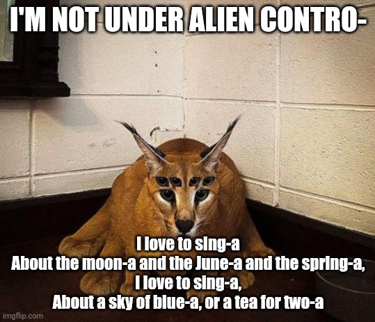 bibically accurate floppa | I'M NOT UNDER ALIEN CONTRO-; I love to sing-a
About the moon-a and the June-a and the spring-a,
I love to sing-a,
About a sky of blue-a, or a tea for two-a | image tagged in bibically accurate floppa | made w/ Imgflip meme maker