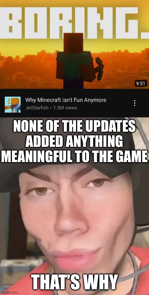 NONE OF THE UPDATES ADDED ANYTHING MEANINGFUL TO THE GAME; THAT’S WHY | image tagged in irl scout | made w/ Imgflip meme maker