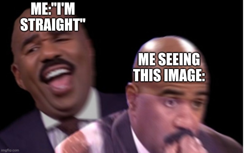 Conflicted Steve Harvey | ME:"I'M STRAIGHT" ME SEEING THIS IMAGE: | image tagged in conflicted steve harvey | made w/ Imgflip meme maker