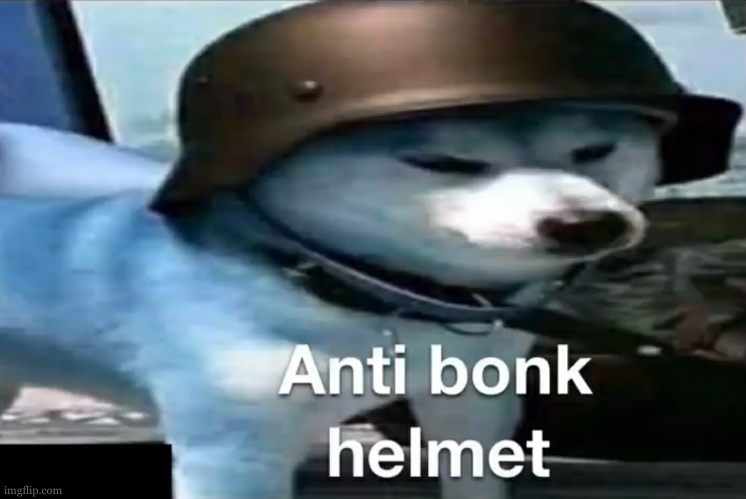Doge Anti-bonk Helmet | image tagged in doge anti-bonk helmet | made w/ Imgflip meme maker
