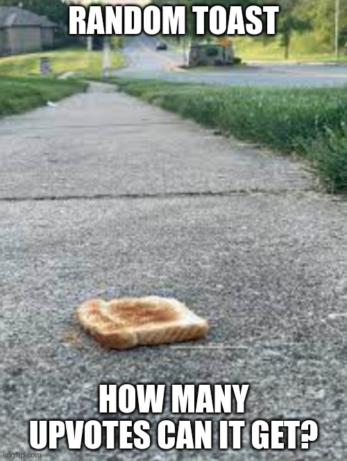 How many upvotes? (Social Experiment) | RANDOM TOAST; HOW MANY UPVOTES CAN IT GET? | made w/ Imgflip meme maker