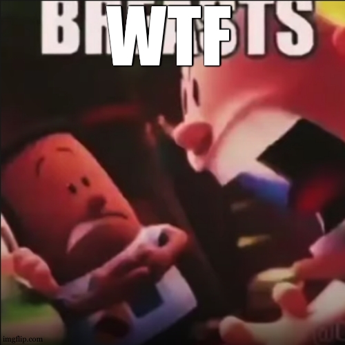 Captain Underpants screaming "BREASTS" | WTF | image tagged in captain underpants screaming breasts | made w/ Imgflip meme maker
