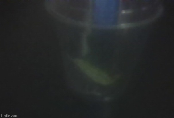 frassgopper :)))) | made w/ Imgflip meme maker