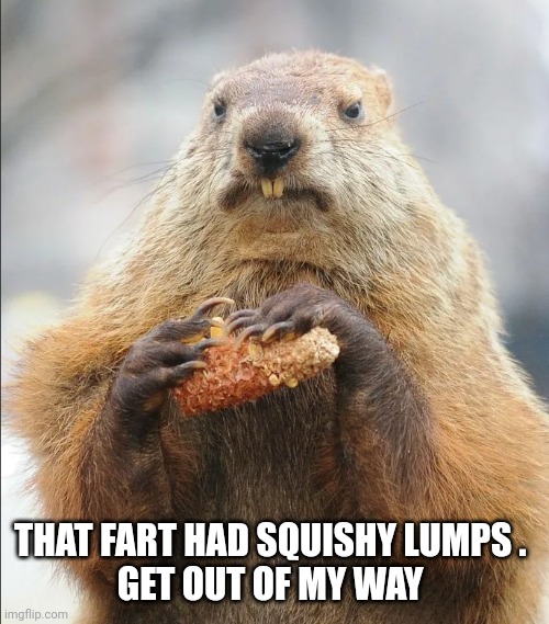 Ground hog | THAT FART HAD SQUISHY LUMPS . 
GET OUT OF MY WAY | image tagged in charts | made w/ Imgflip meme maker