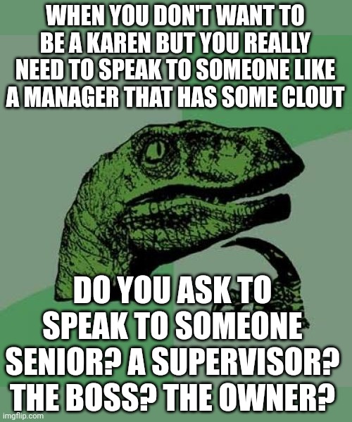 Can't be karen | WHEN YOU DON'T WANT TO BE A KAREN BUT YOU REALLY NEED TO SPEAK TO SOMEONE LIKE A MANAGER THAT HAS SOME CLOUT; DO YOU ASK TO SPEAK TO SOMEONE SENIOR? A SUPERVISOR? THE BOSS? THE OWNER? | image tagged in memes,philosoraptor,karens,karen | made w/ Imgflip meme maker
