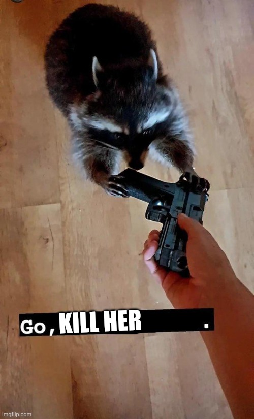 Go, do a crime | KILL HER | image tagged in go do a crime | made w/ Imgflip meme maker