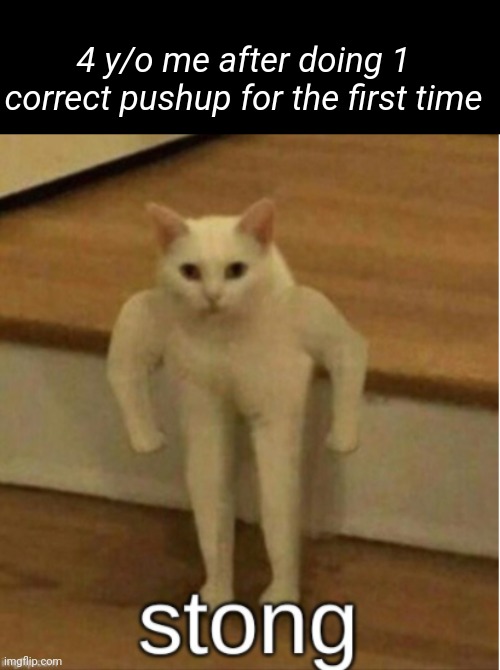 Stong cat | 4 y/o me after doing 1 correct pushup for the first time | image tagged in stong cat | made w/ Imgflip meme maker