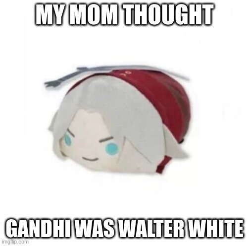 Dante plush | MY MOM THOUGHT; GANDHI WAS WALTER WHITE | image tagged in dante plush | made w/ Imgflip meme maker