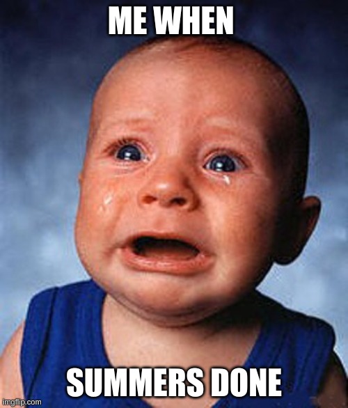 Crying baby  | ME WHEN; SUMMERS DONE | image tagged in crying baby | made w/ Imgflip meme maker