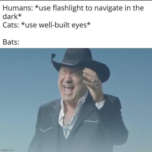 image tagged in memes,funny | made w/ Imgflip meme maker