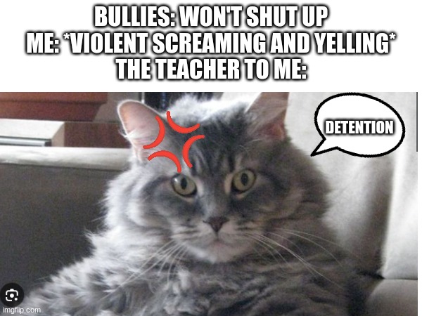 BULLIES: WON'T SHUT UP
ME: *VIOLENT SCREAMING AND YELLING*
THE TEACHER TO ME:; DETENTION | made w/ Imgflip meme maker