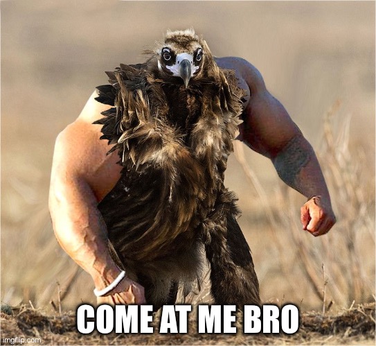 bird muscle | COME AT ME BRO | image tagged in bird muscle | made w/ Imgflip meme maker