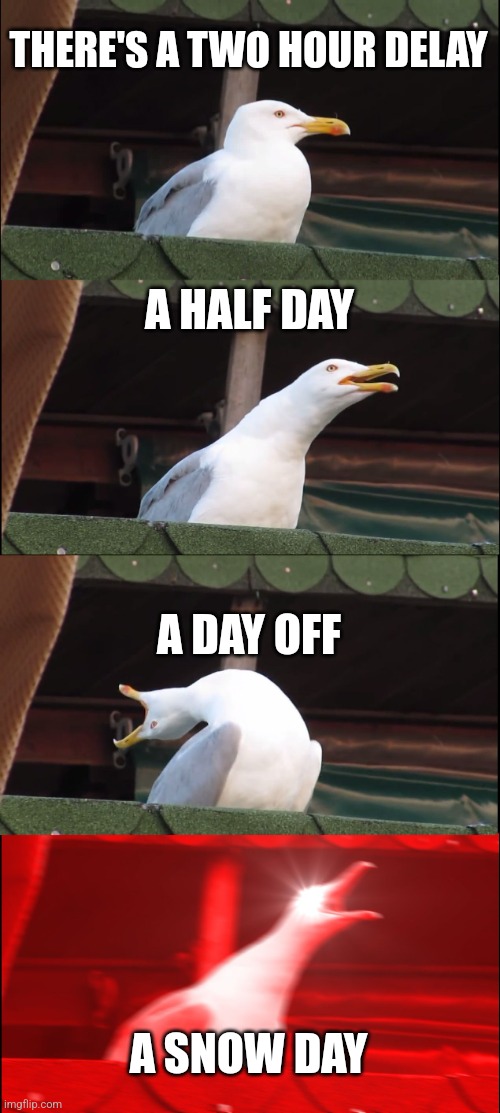 Inhaling Seagull | THERE'S A TWO HOUR DELAY; A HALF DAY; A DAY OFF; A SNOW DAY | image tagged in memes,inhaling seagull | made w/ Imgflip meme maker