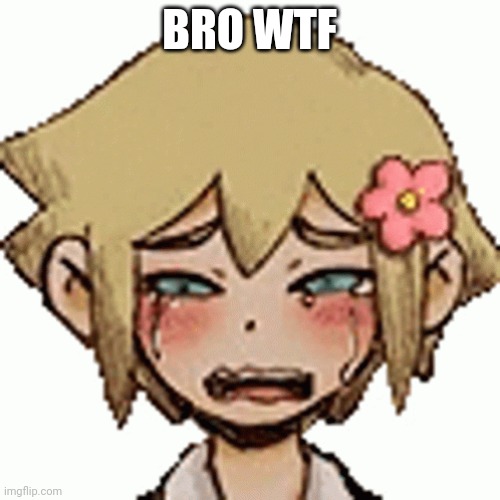 oh the misery | BRO WTF | image tagged in oh the misery | made w/ Imgflip meme maker