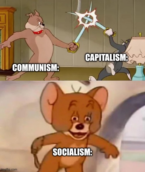 Tom and Spike fighting | CAPITALISM:; COMMUNISM:; SOCIALISM: | image tagged in tom and spike fighting | made w/ Imgflip meme maker