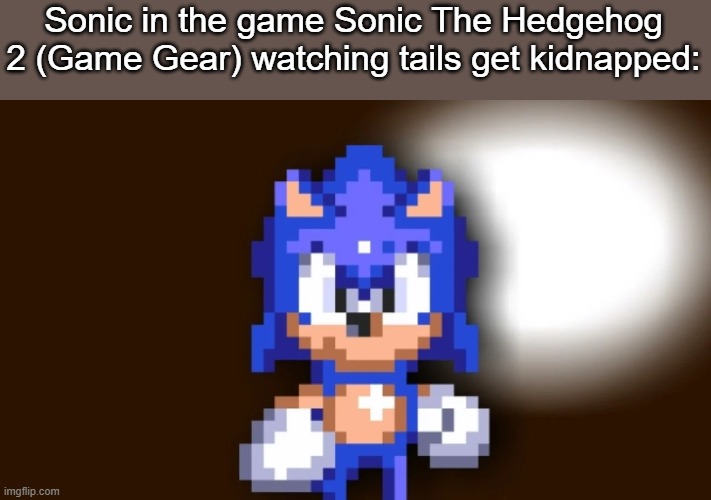 Sonic in the game Sonic The Hedgehog 2 (Game Gear) watching tails get kidnapped: | made w/ Imgflip meme maker