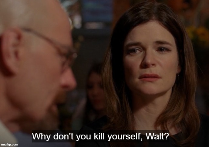 why dont you kys walt | image tagged in why dont you kys walt | made w/ Imgflip meme maker