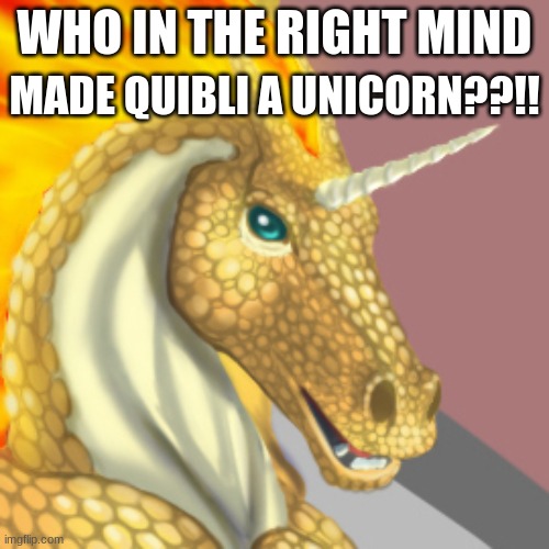 wof meme #47 | WHO IN THE RIGHT MIND; MADE QUIBLI A UNICORN??!! | image tagged in unicorn,wof,wings of fire | made w/ Imgflip meme maker
