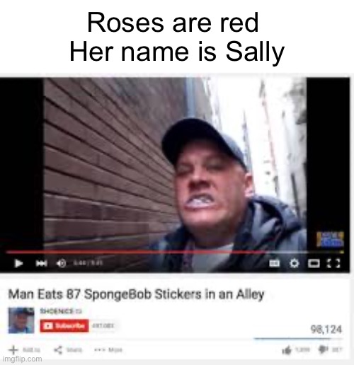 Oh youtube | Roses are red 
Her name is Sally | image tagged in funny,funny memes,funny meme,random tag i decided to put,another random tag i decided to put,yes | made w/ Imgflip meme maker