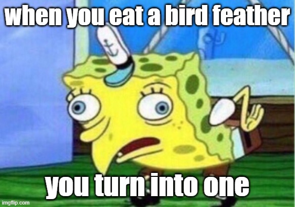 sponge bob | when you eat a bird feather; you turn into one | image tagged in memes,mocking spongebob | made w/ Imgflip meme maker