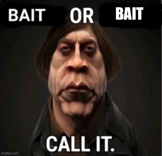 Bait or Bait | BAIT | image tagged in bait | made w/ Imgflip meme maker