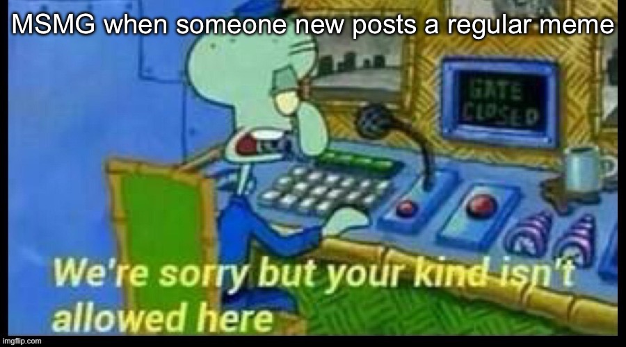 MSMG when someone new posts a regular meme | made w/ Imgflip meme maker