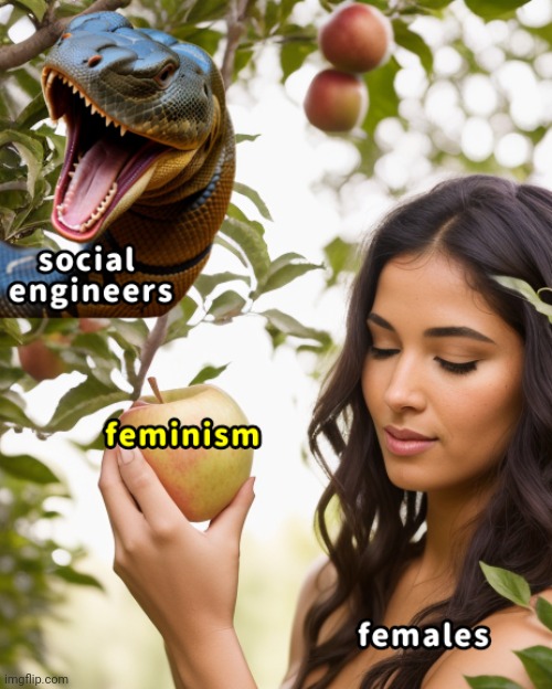 Feminism | image tagged in feminism | made w/ Imgflip meme maker