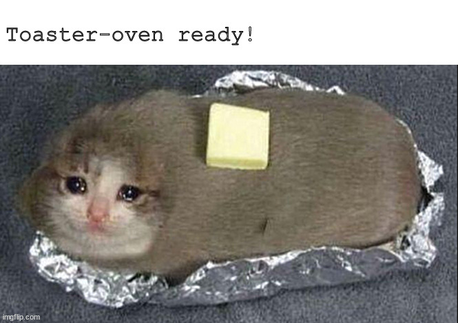 midnight snack | Toaster-oven ready! | image tagged in memes,cursed | made w/ Imgflip meme maker