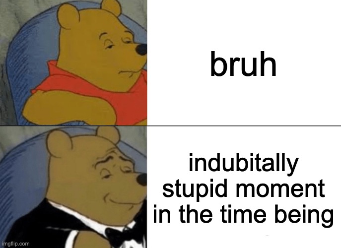 Tuxedo Winnie The Pooh | bruh; indubitally stupid moment in the time being | image tagged in memes,tuxedo winnie the pooh | made w/ Imgflip meme maker