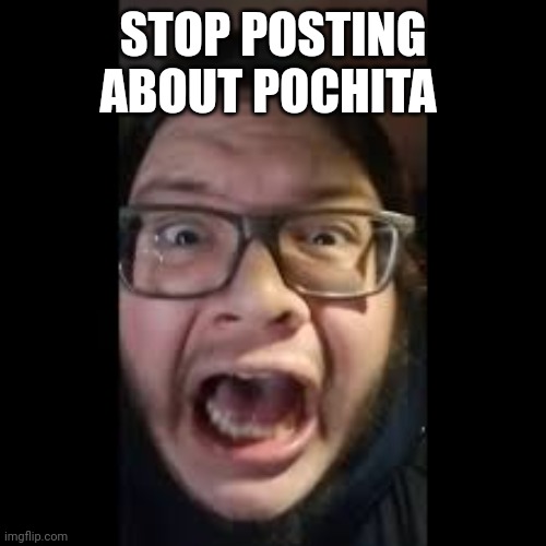 STOP. POSTING. ABOUT AMONG US | STOP POSTING ABOUT POCHITA | image tagged in stop posting about among us | made w/ Imgflip meme maker
