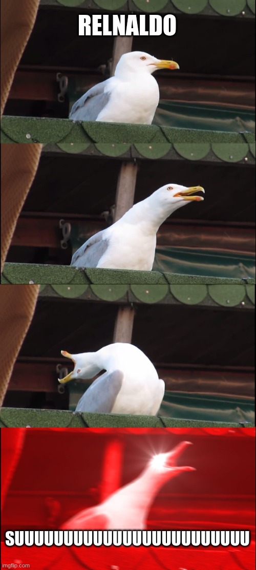 RELNADO SUUU | RELNALDO; SUUUUUUUUUUUUUUUUUUUUUUUU | image tagged in memes,inhaling seagull | made w/ Imgflip meme maker