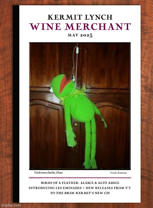 He had to do something with all those sour grapes | image tagged in kermit,hang,wine | made w/ Imgflip meme maker