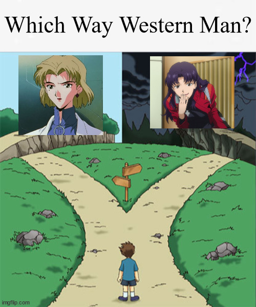 Which Way Western Man? | Which Way Western Man? | image tagged in two paths | made w/ Imgflip meme maker
