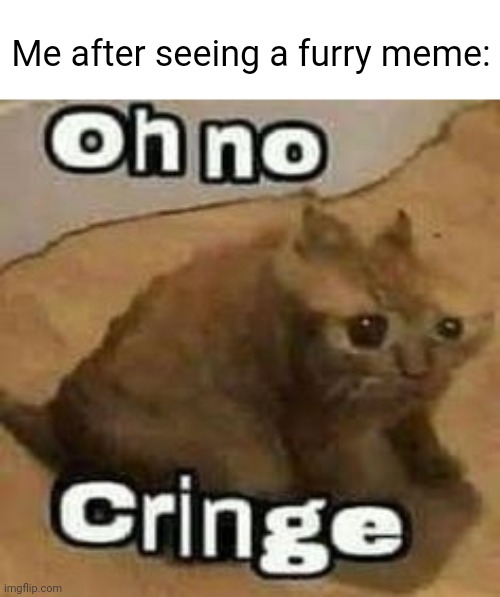 oH nO cRInGe | Me after seeing a furry meme: | image tagged in oh no cringe | made w/ Imgflip meme maker