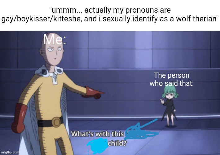 I hate gay people who are like this, not being homophobic btw (only a bit?) | "ummm... actually my pronouns are gay/boykisser/kitteshe, and i sexually identify as a wolf therian"; Me:; The person who said that: | image tagged in what's with this sassy lost child | made w/ Imgflip meme maker