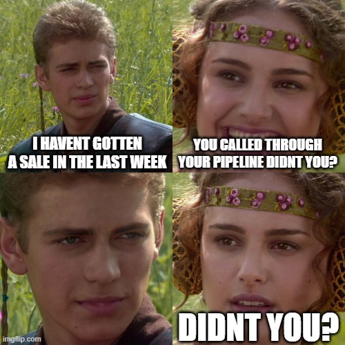 Didnt you | I HAVENT GOTTEN A SALE IN THE LAST WEEK; YOU CALLED THROUGH YOUR PIPELINE DIDNT YOU? DIDNT YOU? | image tagged in anakin padme 4 panel | made w/ Imgflip meme maker