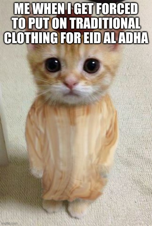 sad boi | ME WHEN I GET FORCED TO PUT ON TRADITIONAL CLOTHING FOR EID AL ADHA | image tagged in morocco cat | made w/ Imgflip meme maker