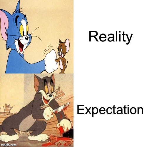 Reality always happens, not expectations | Reality; Expectation | image tagged in tom and jerry mood swings | made w/ Imgflip meme maker