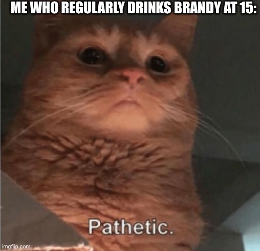 Pathetic Cat | ME WHO REGULARLY DRINKS BRANDY AT 15: | image tagged in pathetic cat | made w/ Imgflip meme maker